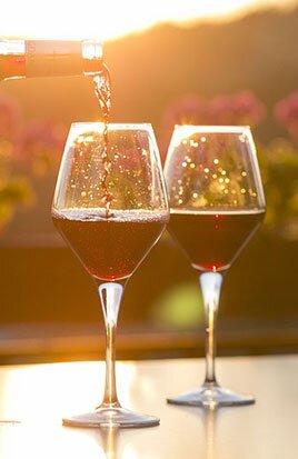 Vino Pallagrello Pallagrello